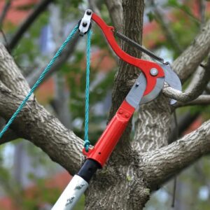 Gardening Trimmer Heavy Duty Extendable Tree Pruner 11.81 Inch High Branch Scissors Tree Pruning Shear for Landscaping and Shrub